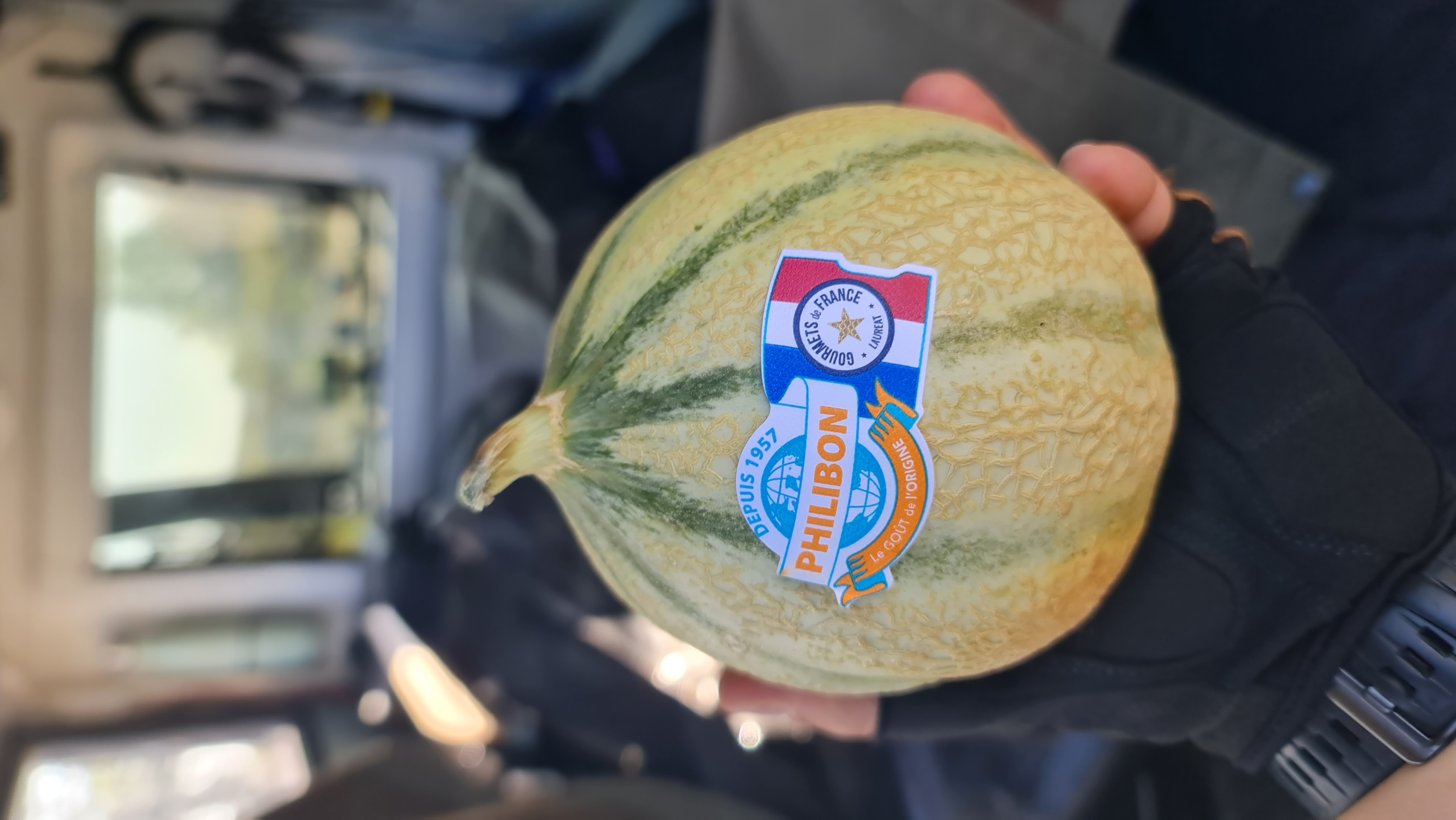 Un melon