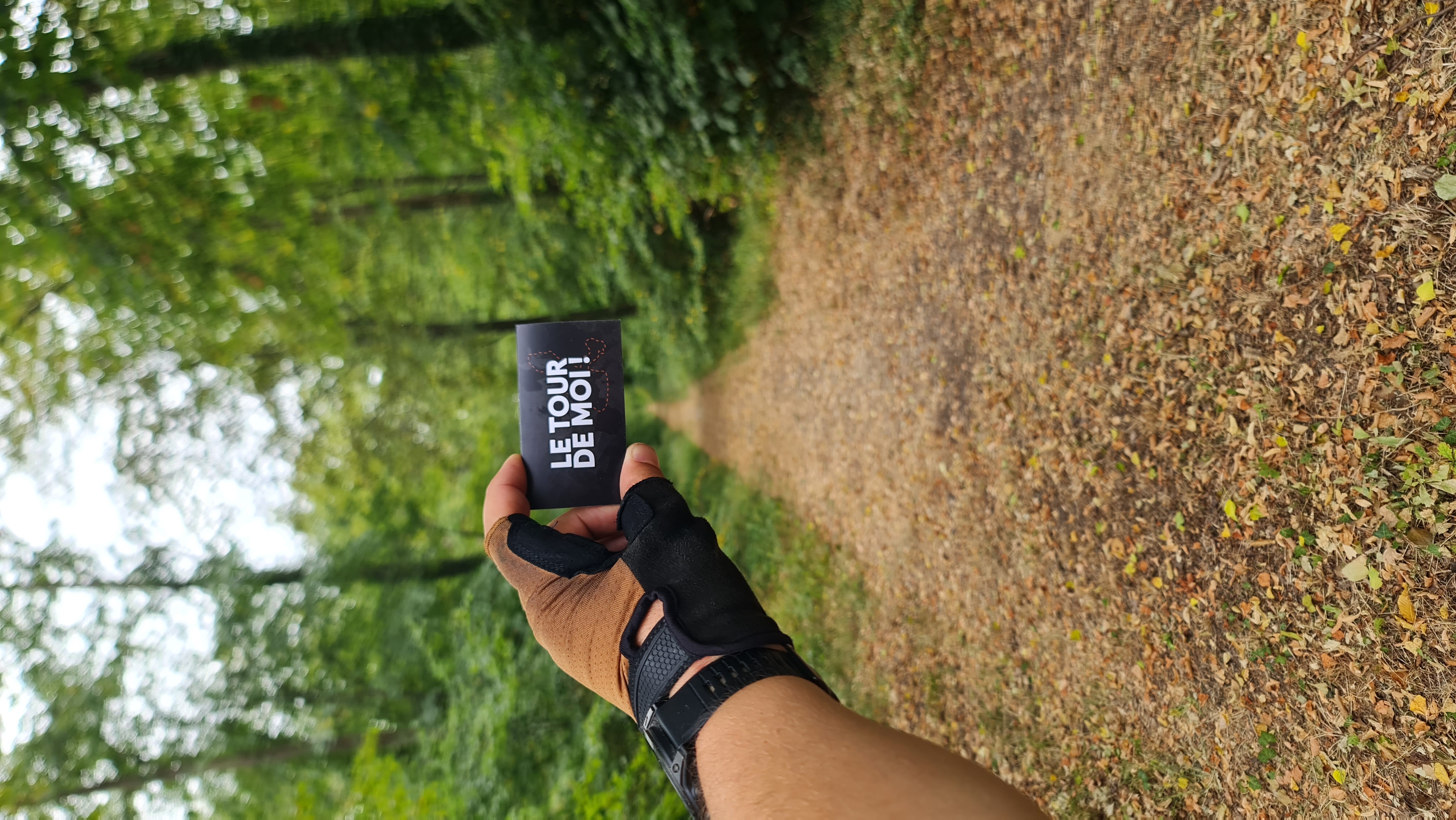 Dans la forêt de Chantilly.
