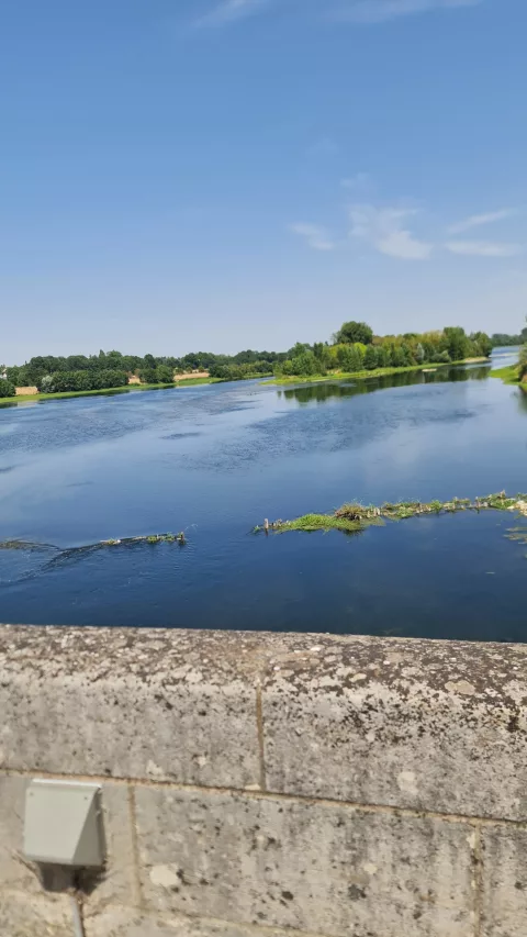 Sur la Loire