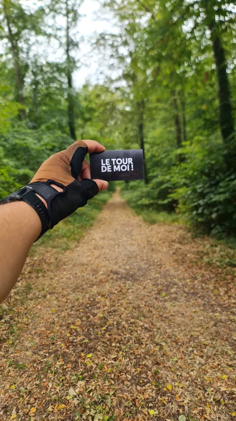 Dans la forêt de Chantilly.