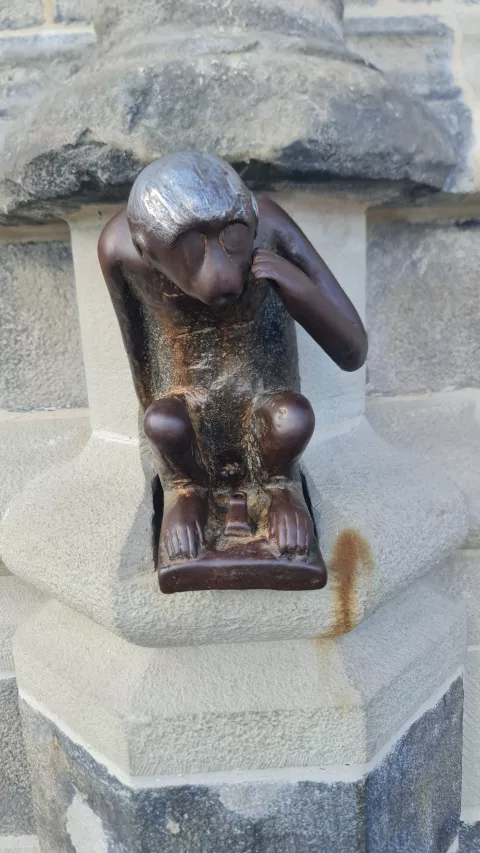 The Monkey of Mons