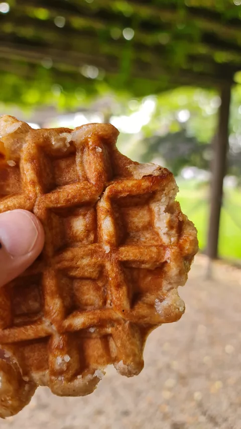 La gaufre reliait