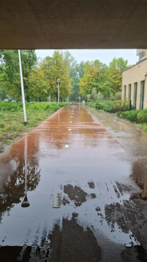 Rain, again and again.