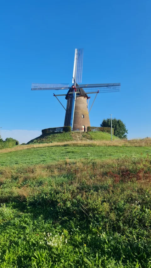 The famous Dutch windmills
