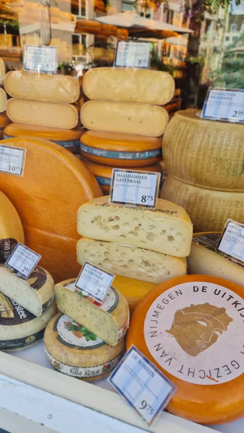 Cheese Shop De Wit #2