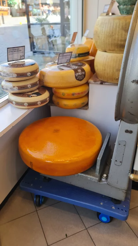 Cheese Shop De Wit #3
