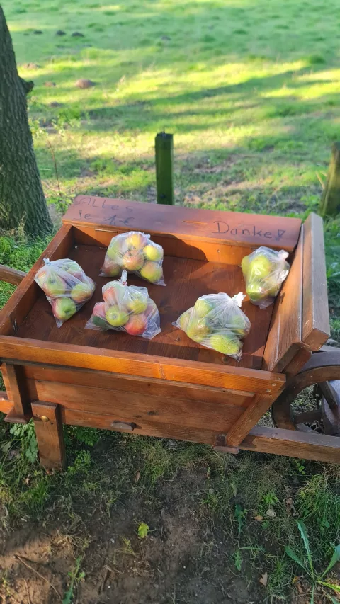A local producer sells apples and pears at a self-service stand.