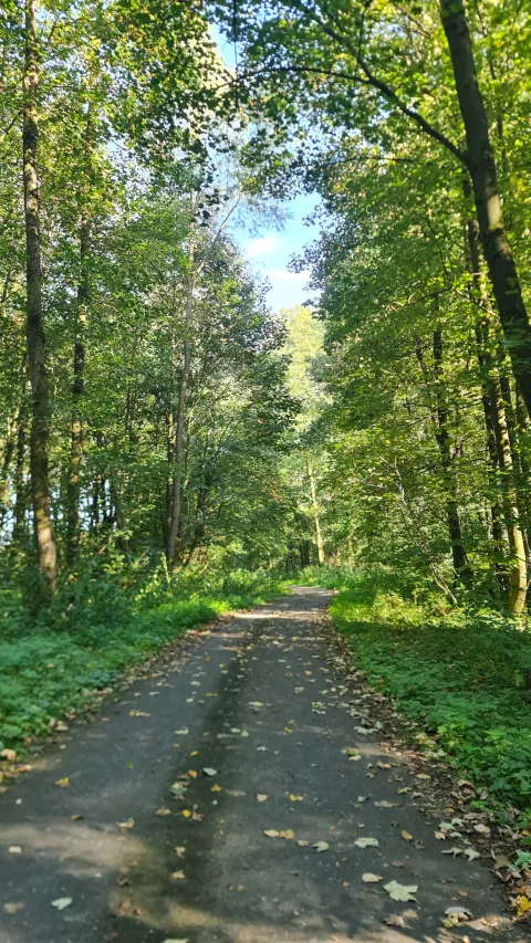 A clear and pleasant cycle path