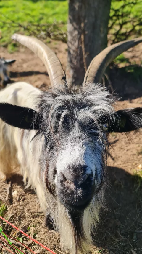 Hey, hi there!