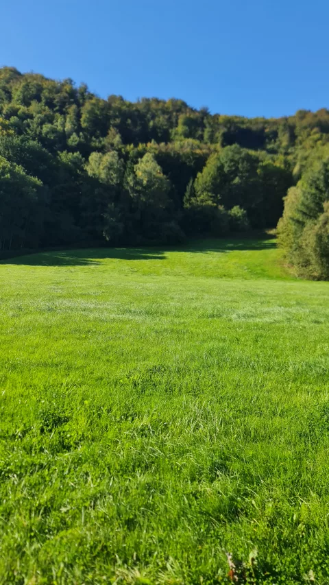 I think it’s really pretty