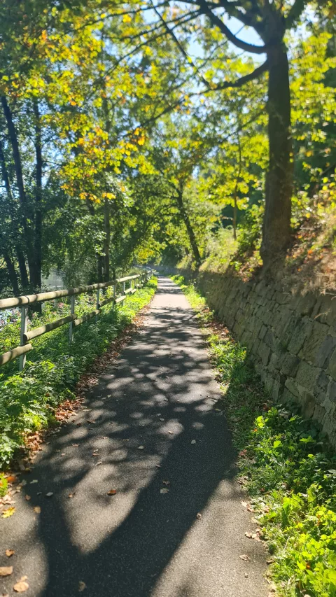 Une piste cyclable bien agréable