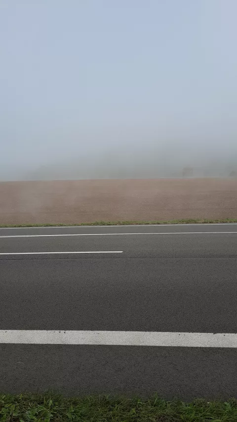 A lot of fog this morning