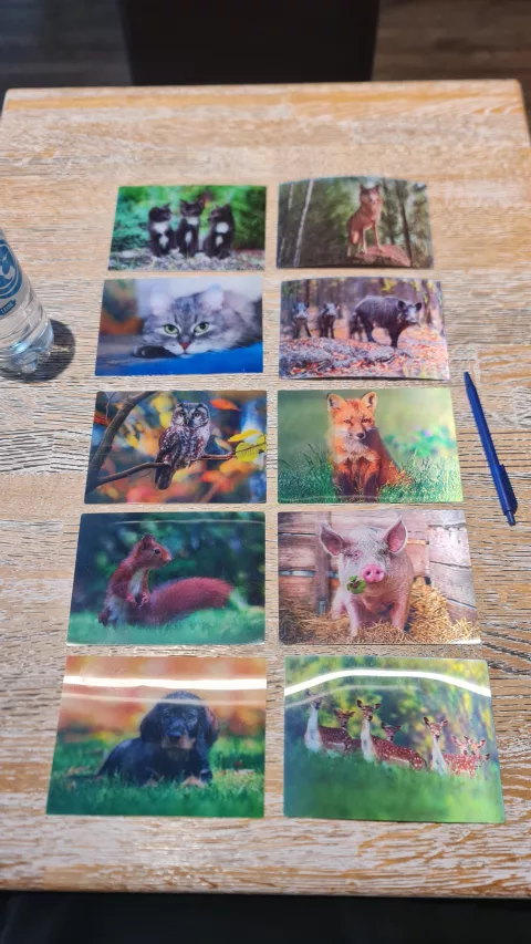 Journée carte postale pour la famille 