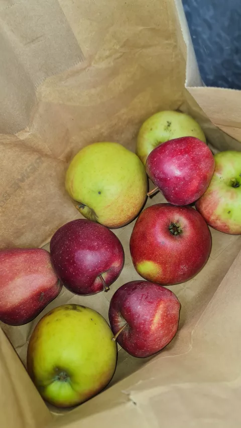 Avant de partir Antonella a voulu m'offrir des pommes de son jardin